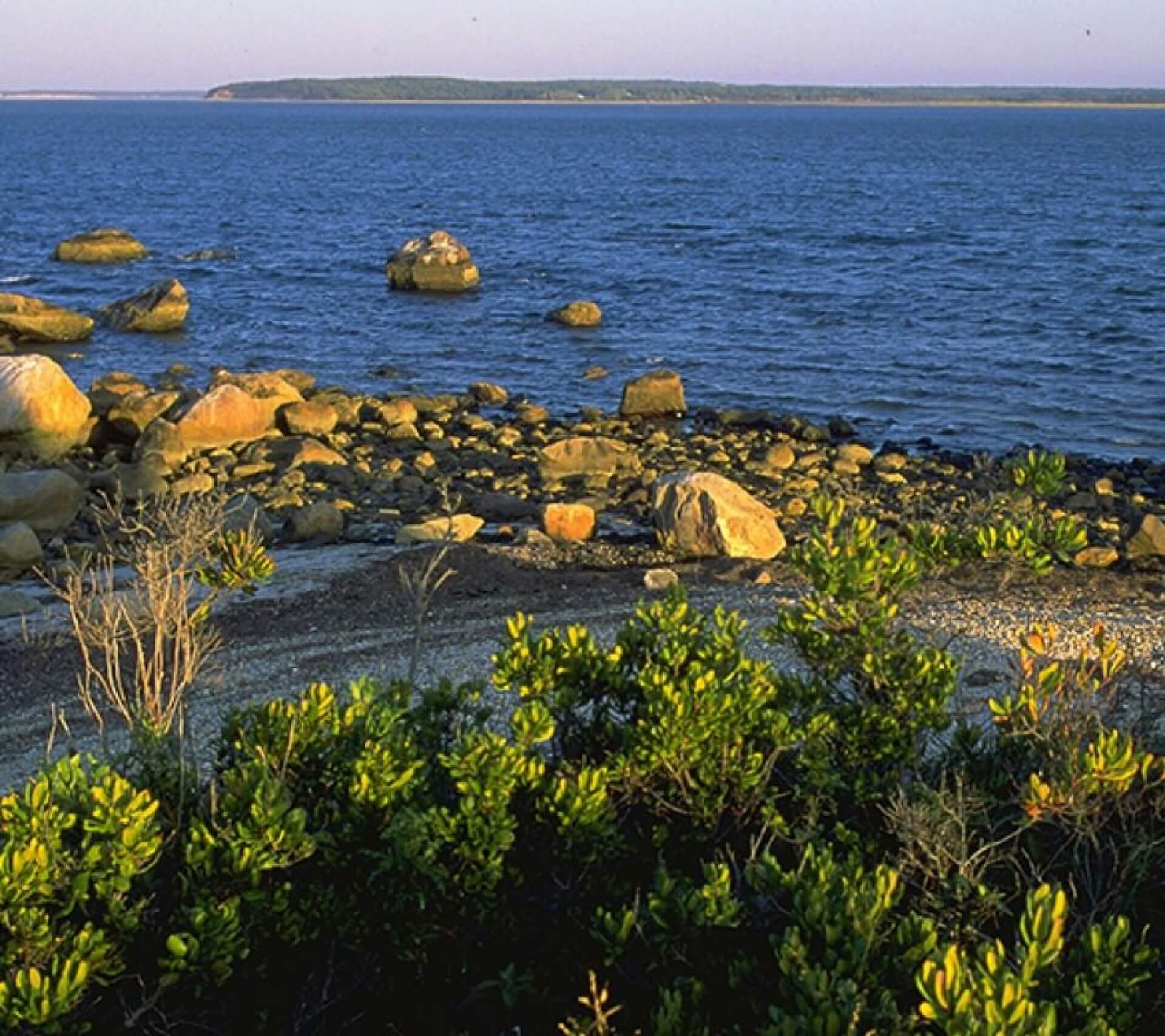 a rocky shore at the mashomack preserve