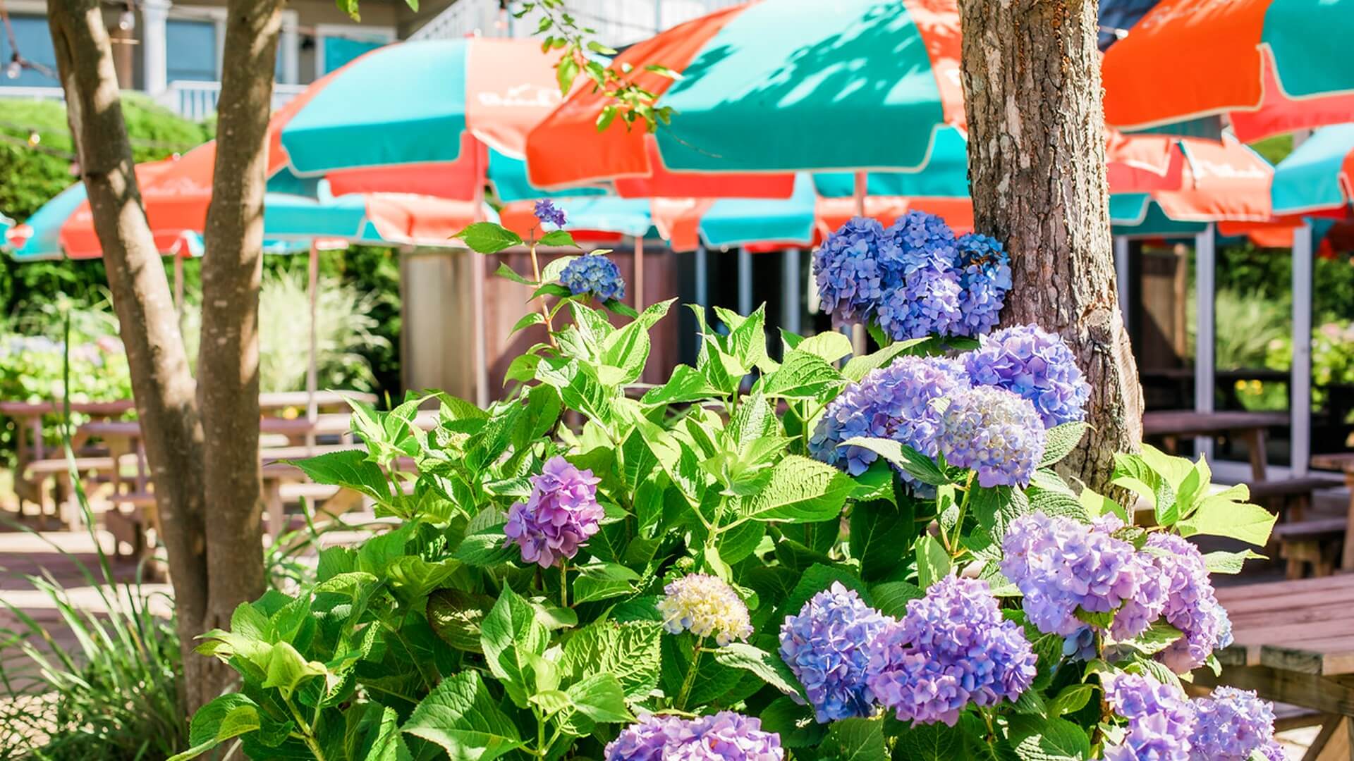 Rusty Nail | Cape May, NJ Restaurant at the Beach Shack Hotel