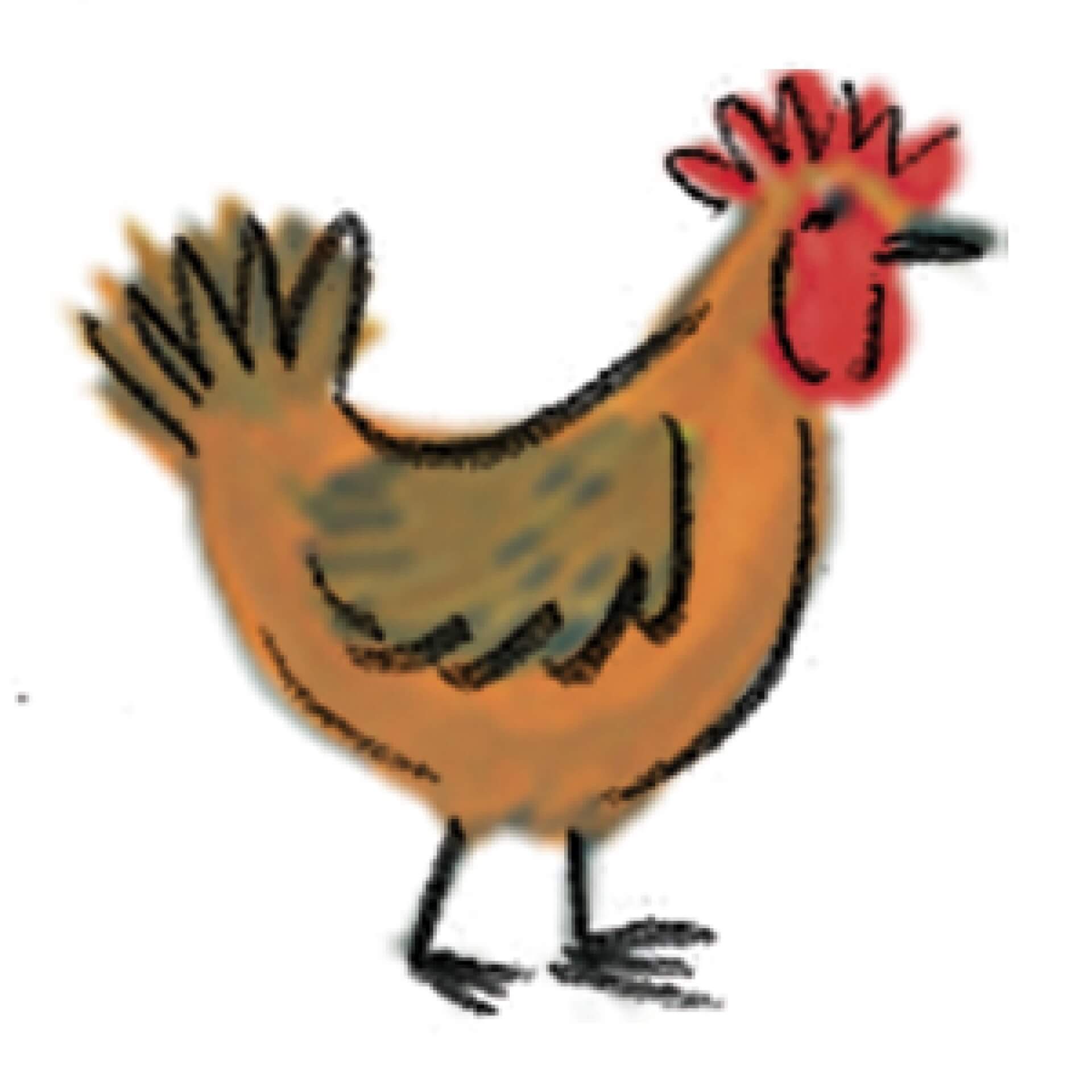 watercolor of a chicken