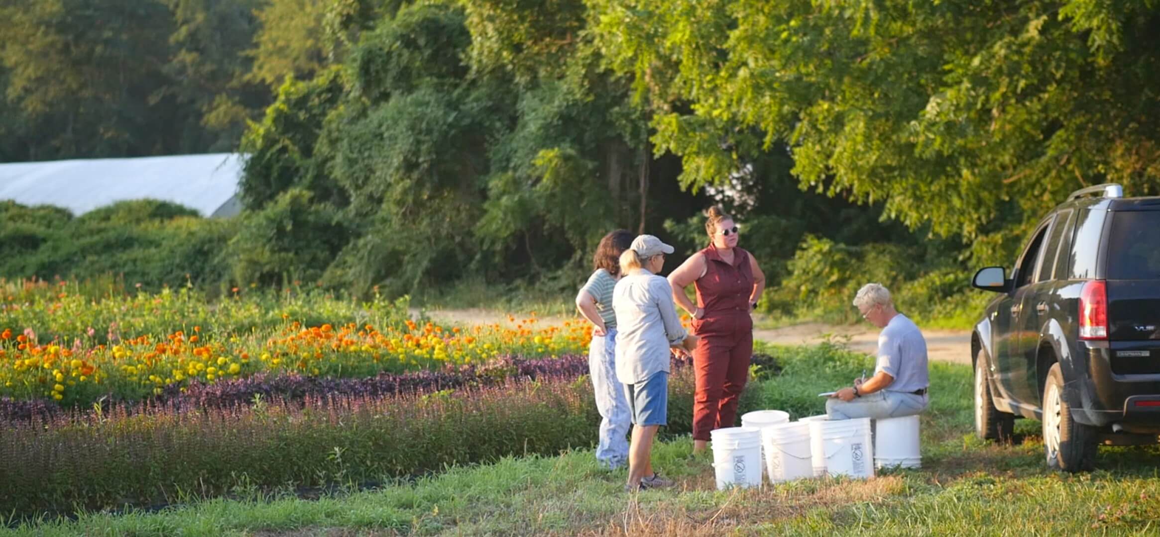 the farm team standing in front of the flower field